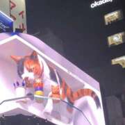 ヒメ日記 2025/09/01 18:56 投稿 さつき 成田人妻講座