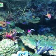 ヒメ日記 2025/09/16 12:14 投稿 さつき 成田人妻講座