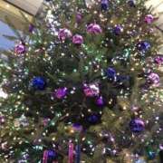 ヒメ日記 2025/12/23 12:33 投稿 さつき 成田人妻講座