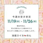 ヒメ日記 2025/11/17 21:14 投稿 のん スイカ