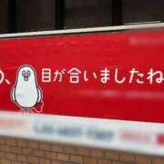 ヒメ日記 2025/11/27 21:04 投稿 のん スイカ