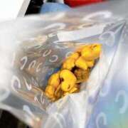 ヒメ日記 2026/02/01 21:00 投稿 のん スイカ