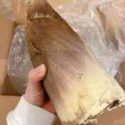 ヒメ日記 2026/04/12 21:53 投稿 のん スイカ