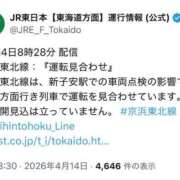 ヒメ日記 2026/04/14 08:54 投稿 のん スイカ