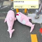 ヒメ日記 2026/05/24 19:11 投稿 のん スイカ