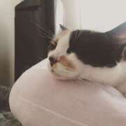 ヒメ日記 2025/02/13 08:53 投稿 まよ 丸妻 新横浜店