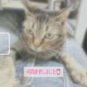 ヒメ日記 2025/08/21 10:48 投稿 まよ 丸妻 新横浜店