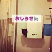 ヒメ日記 2025/09/15 22:38 投稿 まよ 丸妻 新横浜店