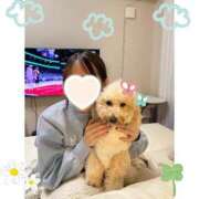 ヒメ日記 2025/02/25 10:18 投稿 トウフ Club Hearts