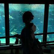 ヒメ日記 2025/05/27 10:28 投稿 トウフ Club Hearts