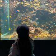 ヒメ日記 2025/06/24 14:27 投稿 トウフ Club Hearts