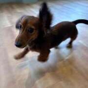 ヒメ日記 2026/01/22 09:54 投稿 トウフ Club Hearts