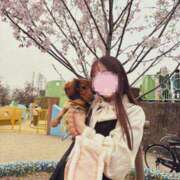 ヒメ日記 2026/03/30 10:13 投稿 トウフ Club Hearts