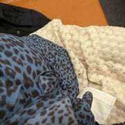 せり Golf1、ありがとうございます 丸妻 厚木店