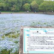 ヒメ日記 2025/05/11 20:04 投稿 ヒカリ 秘密の出張部屋