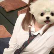 ヒメ日記 2025/02/28 07:54 投稿 かな みつらん鉄道