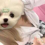 ヒメ日記 2025/03/02 18:24 投稿 かな みつらん鉄道