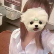 ヒメ日記 2025/03/08 18:24 投稿 かな みつらん鉄道