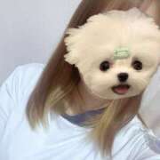 ヒメ日記 2025/03/10 13:44 投稿 かな みつらん鉄道