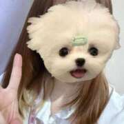 ヒメ日記 2025/03/19 11:33 投稿 かな みつらん鉄道