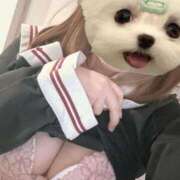 ヒメ日記 2025/03/22 10:44 投稿 かな みつらん鉄道