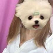 ヒメ日記 2025/03/24 12:08 投稿 かな みつらん鉄道