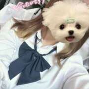 ヒメ日記 2025/03/28 16:04 投稿 かな みつらん鉄道