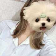 ヒメ日記 2025/03/29 16:54 投稿 かな みつらん鉄道