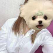 ヒメ日記 2025/03/30 23:04 投稿 かな みつらん鉄道