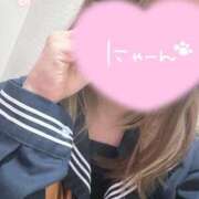 ヒメ日記 2025/04/01 21:34 投稿 かな みつらん鉄道