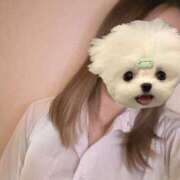 ヒメ日記 2025/04/08 18:19 投稿 かな みつらん鉄道