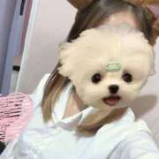 ヒメ日記 2025/04/11 09:44 投稿 かな みつらん鉄道