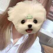 ヒメ日記 2025/04/25 06:25 投稿 かな みつらん鉄道