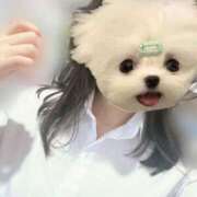 ヒメ日記 2025/05/10 15:14 投稿 かな みつらん鉄道