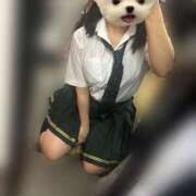 ヒメ日記 2025/05/12 22:14 投稿 かな みつらん鉄道