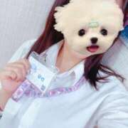 ヒメ日記 2025/06/05 11:14 投稿 かな みつらん鉄道