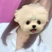 ヒメ日記 2025/06/06 18:34 投稿 かな みつらん鉄道