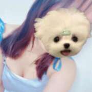 ヒメ日記 2025/06/11 03:54 投稿 かな みつらん鉄道