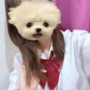 ヒメ日記 2025/06/15 09:17 投稿 かな みつらん鉄道