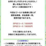 ヒメ日記 2025/06/16 15:14 投稿 かな みつらん鉄道