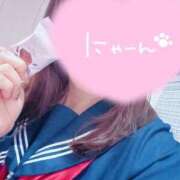 ヒメ日記 2025/06/17 12:14 投稿 かな みつらん鉄道