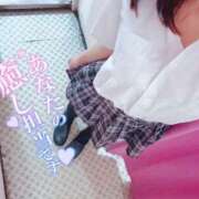 ヒメ日記 2025/06/20 15:14 投稿 かな みつらん鉄道