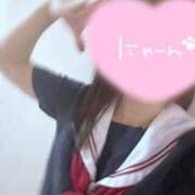 ヒメ日記 2025/06/21 15:05 投稿 かな みつらん鉄道