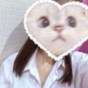 ヒメ日記 2025/06/22 12:05 投稿 かな みつらん鉄道