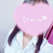 ヒメ日記 2025/07/11 06:34 投稿 かな みつらん鉄道