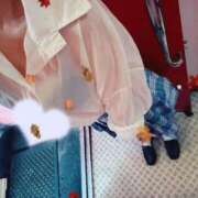 ヒメ日記 2025/09/27 08:37 投稿 かな みつらん鉄道