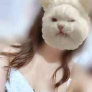 ヒメ日記 2025/10/26 11:04 投稿 かな みつらん鉄道