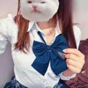 ヒメ日記 2025/11/04 06:14 投稿 かな みつらん鉄道