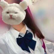 ヒメ日記 2025/11/11 10:17 投稿 かな みつらん鉄道