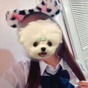 ヒメ日記 2025/11/11 11:54 投稿 かな みつらん鉄道